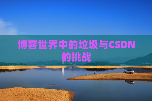 博客世界中的垃圾与CSDN的挑战